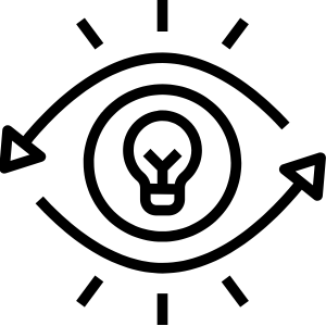 Vision